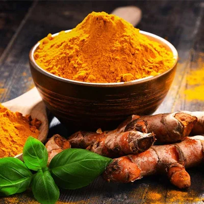 Turmeric (Curcuma longa) Rhizome ingredient